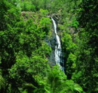 Kondalilla National Park - 2032 Olympic Games