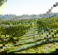 Surveyor's Hill Vineyards - 2032 Olympic Games