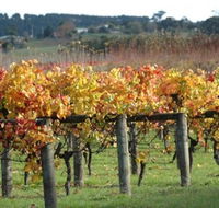 Apsley Gorge Vineyard - 2032 Olympic Games