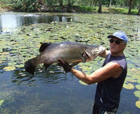 Barra Feeding - 2032 Olympic Games 0