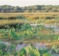 Fogg Dam Conservation Reserve - 2032 Olympic Games