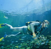 Kirra Reef Dive Site - 2032 Olympic Games