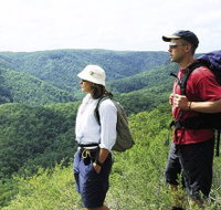 Sunshine Coast Hinterland Great Walk - 2032 Olympic Games
