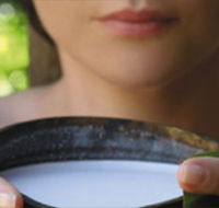 Ikatan Day Spa - 2032 Olympic Games