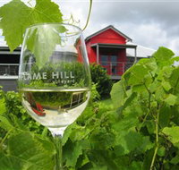 Flame Hill Vineyard - 2032 Olympic Games