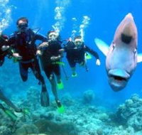 Magic Mountain Dive Site - 2032 Olympic Games