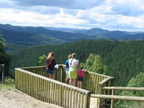 Kenilworth Forest Reserve - 2032 Olympic Games 0