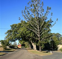 Anzac Avenue Memorial Trees Beerburrum - 2032 Olympic Games