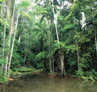 Mount Allan Trail - 2032 Olympic Games