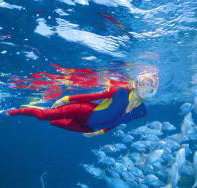 Pixie Pinnacle Dive Site - 2032 Olympic Games