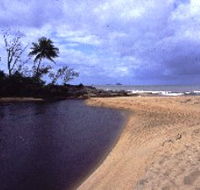 Russell River National Park - 2032 Olympic Games