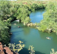 Wild Dog Dreaming Boodjamulla Lawn Hill National Park - 2032 Olympic Games