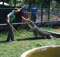 Snakes Downunder Reptile Park and Zoo - 2032 Olympic Games