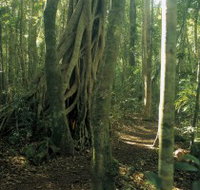 Mount Bithongabel - 2032 Olympic Games