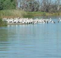 Lake Ross - 2032 Olympic Games