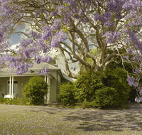 The Long Apron Restaurant - 2032 Olympic Games