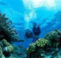 Coral Gardens Dive Site - 2032 Olympic Games