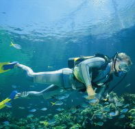 Manta Ray Bommie Dive Site - 2032 Olympic Games