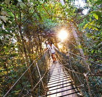 Tree Top Walkway - 2032 Olympic Games