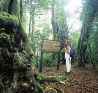 Tooloona Creek circuit - 2032 Olympic Games