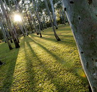 Tondoon Botanic Gardens - 2032 Olympic Games