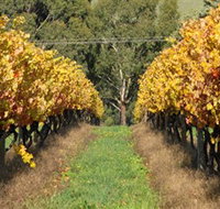 Wild Dog Winery  Restaurant - 2032 Olympic Games