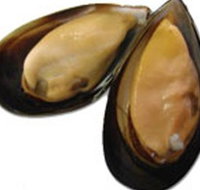 Sea Bounty - 2032 Olympic Games