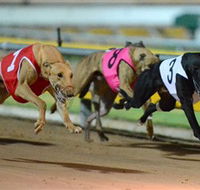 The Beckley Centre - 2032 Olympic Games