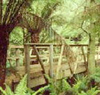 Mount Worth State Park - 2032 Olympic Games