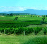 Acacia Ridge Vineyard - 2032 Olympic Games