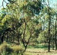 Leaghur State Park - 2032 Olympic Games