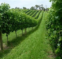 The Cups Estate - 2032 Olympic Games