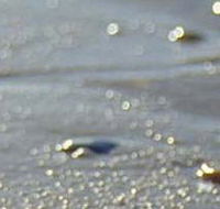 Cape Liptrap Coastal Park - 2032 Olympic Games