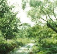 Holey Plains State Park - 2032 Olympic Games