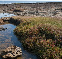 Ricketts Point Marine Sanctuary - 2032 Olympic Games