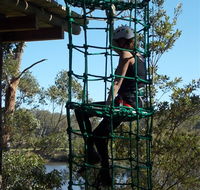 Trees Adventure Shoalhaven - 2032 Olympic Games