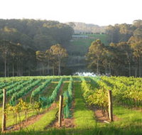 Tilba Valley Wines - 2032 Olympic Games