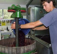 Fern Gully Winery - 2032 Olympic Games