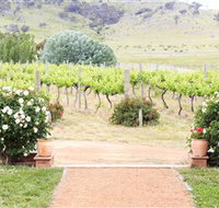 Brindabella Hills Winery - 2032 Olympic Games