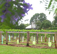 Douglas Vale Historic Homestead  Vineyard - 2032 Olympic Games