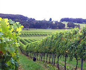 Exeter NSW 2032 Olympic Games
