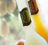 Ambra Limoncello - 2032 Olympic Games