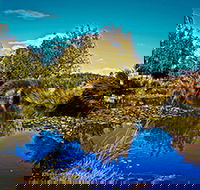 Loira Vines - 2032 Olympic Games