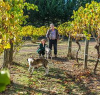 Little River Wines of Taggerty - 2032 Olympic Games