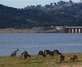 Inland Waters Holiday Parks Wyangala Waters - 2032 Olympic Games 3