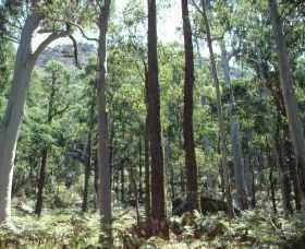 Cathedral Range State Park - 2032 Olympic Games 0