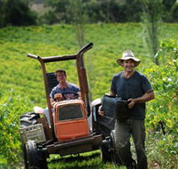Kellybrook Winery Kelly Brothers Cider  Riders Brew Co. - 2032 Olympic Games