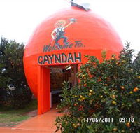 Gayndahs Big Orange - 2032 Olympic Games