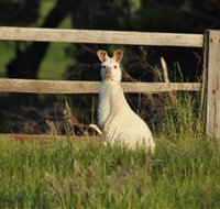 Panorama Garden Estate - 2032 Olympic Games