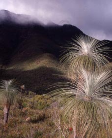 Bluff Knoll, Stirling Range National Park - 2032 Olympic Games 3